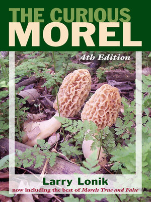 cover image of The Curious Morel